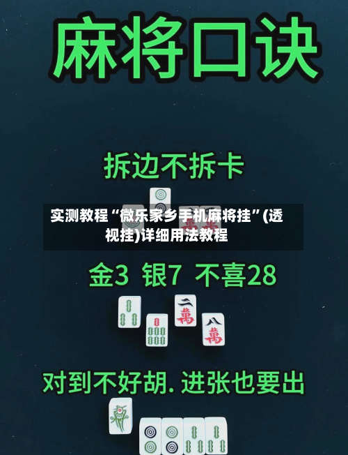 实测教程“微乐家乡手机麻将挂”(透视挂)详细用法教程-第3张图片