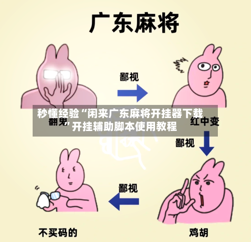 秒懂经验“闲来广东麻将开挂器下载”开挂辅助脚本使用教程-第1张图片