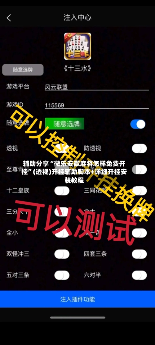 辅助分享“微乐安徽麻将怎样免费开挂	”(透视)开挂辅助脚本+详细开挂安装教程-第1张图片