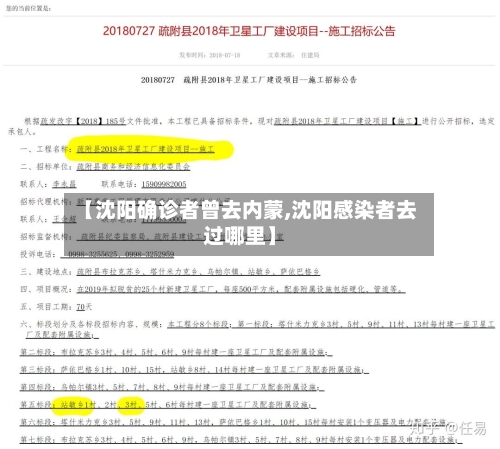 【沈阳确诊者曾去内蒙,沈阳感染者去过哪里】-第3张图片