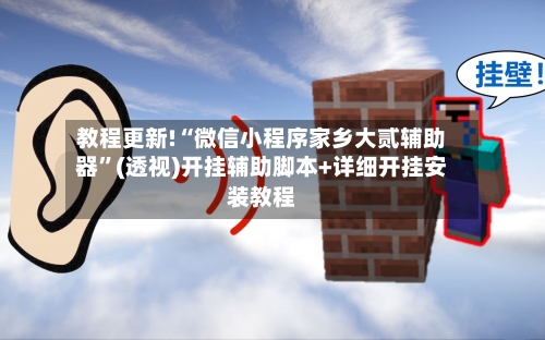 教程更新!“微信小程序家乡大贰辅助器	”(透视)开挂辅助脚本+详细开挂安装教程-第3张图片