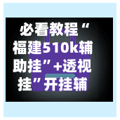 必看教程“福建510k辅助挂	”+透视挂”开挂辅助软件教程-第1张图片