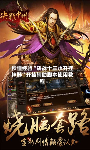 秒懂经验“决战十三水开挂神器”开挂辅助脚本使用教程-第2张图片