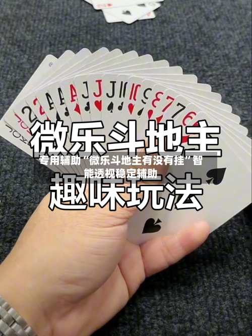 专用辅助“微乐斗地主有没有挂”智能透视稳定辅助-第3张图片