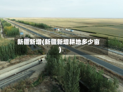 新疆新增(新疆新增耕地多少亩)-第2张图片
