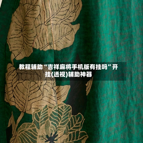 教程辅助“吉祥麻将手机版有挂吗”开挂(透视)辅助神器-第3张图片