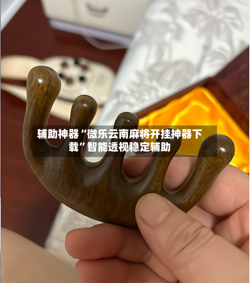 辅助神器“微乐云南麻将开挂神器下载”智能透视稳定辅助-第2张图片