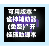 可用版本“雀神辅助器(免费)	”开挂辅助脚本使用教程-第2张图片