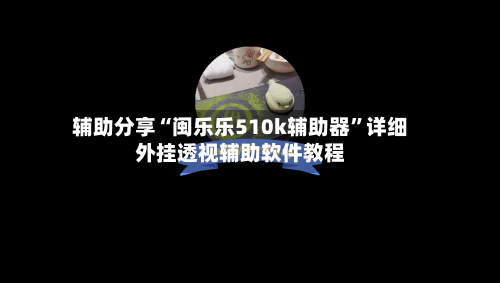 辅助分享“闽乐乐510k辅助器”详细外挂透视辅助软件教程-第1张图片