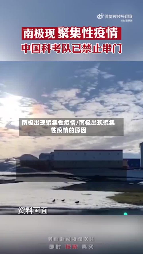 南极出现聚集性疫情/南极出现聚集性疫情的原因-第2张图片