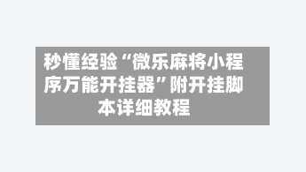 秒懂经验“微乐麻将小程序万能开挂器”附开挂脚本详细教程-第1张图片