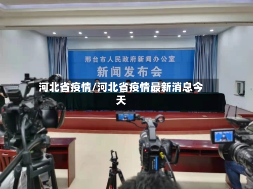 河北省疫情/河北省疫情最新消息今天-第3张图片