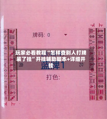 玩家必看教程“怎样查别人打牌装了挂”开挂辅助脚本+详细开挂-第1张图片
