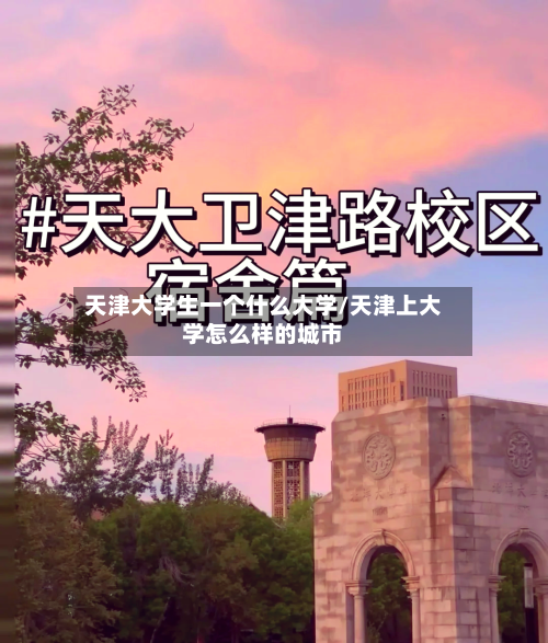 天津大学生一个什么大学/天津上大学怎么样的城市-第3张图片