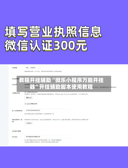 教程开挂辅助“微乐小程序万能开挂器”开挂辅助脚本使用教程-第2张图片