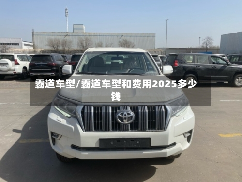 霸道车型/霸道车型和费用2025多少钱-第1张图片