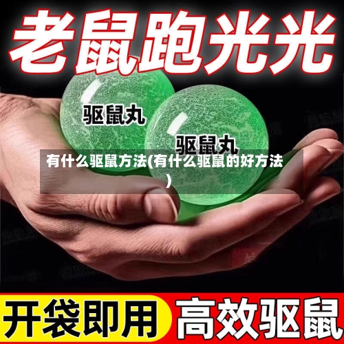 有什么驱鼠方法(有什么驱鼠的好方法)-第2张图片