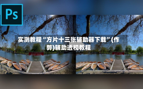 实测教程“方片十三张辅助器下载	”(作弊)辅助透视教程-第1张图片
