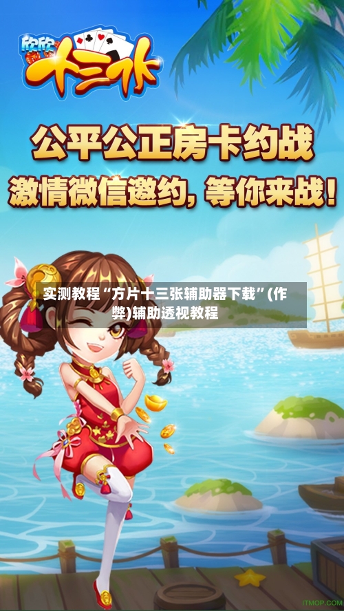 实测教程“方片十三张辅助器下载”(作弊)辅助透视教程-第2张图片