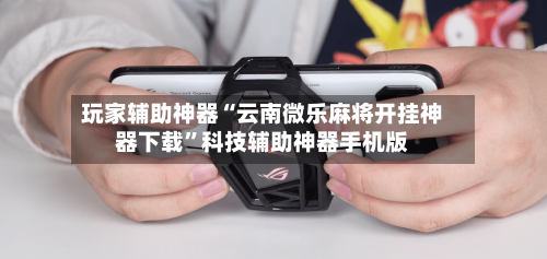 玩家辅助神器“云南微乐麻将开挂神器下载”科技辅助神器手机版-第3张图片