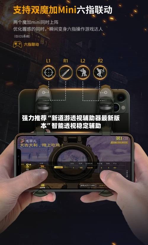 强力推荐“新道游透视辅助器最新版本	”智能透视稳定辅助-第1张图片
