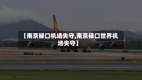 【南京禄口机场失守,南京禄口世界机场失守】-第3张图片