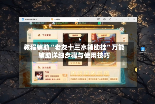 教程辅助“老友十三水辅助挂”万能辅助详细步骤与使用技巧-第3张图片