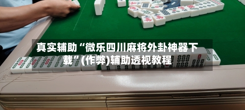 真实辅助“微乐四川麻将外卦神器下载	”(作弊)辅助透视教程-第1张图片