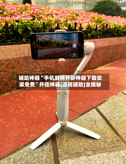 辅助神器“手机麻将外卦神器下载安装免费	”开挂神器{透视辅助}全揭秘-第3张图片
