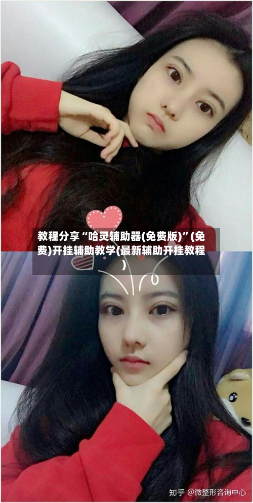 教程分享“哈灵辅助器(免费版)”(免费)开挂辅助教学(最新辅助开挂教程)-第2张图片