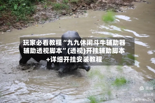玩家必看教程“九九休闲斗牛辅助器辅助透视脚本	”(透视)开挂辅助脚本+详细开挂安装教程-第2张图片