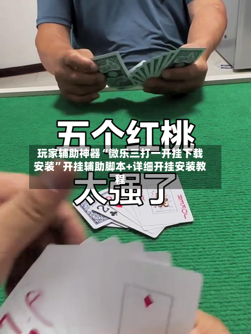 玩家辅助神器“微乐三打一开挂下载安装”开挂辅助脚本+详细开挂安装教程-第2张图片
