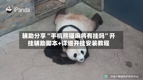 辅助分享“手机熊猫麻将有挂吗”开挂辅助脚本+详细开挂安装教程-第2张图片