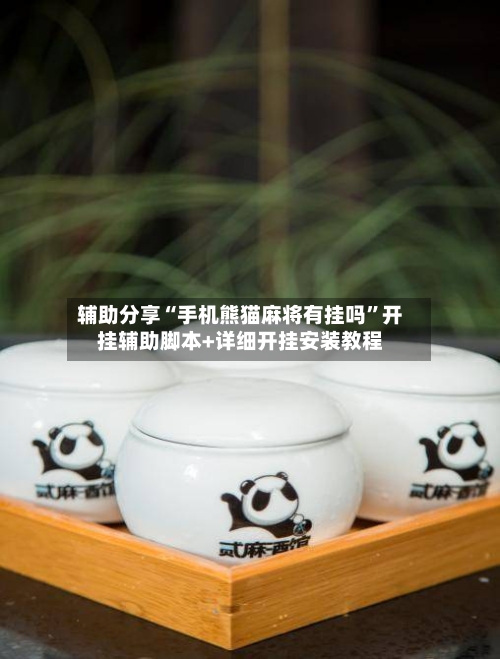 辅助分享“手机熊猫麻将有挂吗”开挂辅助脚本+详细开挂安装教程-第3张图片