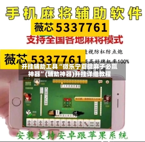 开挂辅助工具“微乐宁夏捉麻子必赢神器”(辅助神器)开挂详细教程-第2张图片