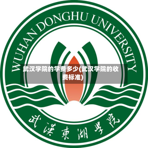 武汉学院的学费多少(武汉学院的收费标准)-第2张图片