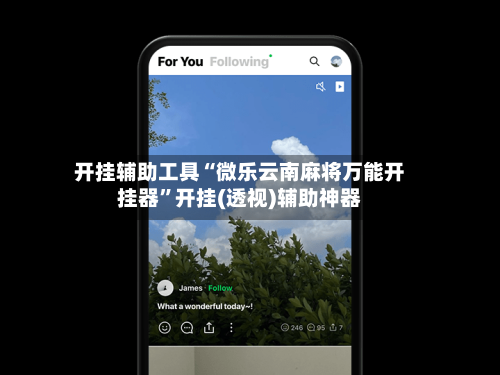 开挂辅助工具“微乐云南麻将万能开挂器”开挂(透视)辅助神器-第2张图片