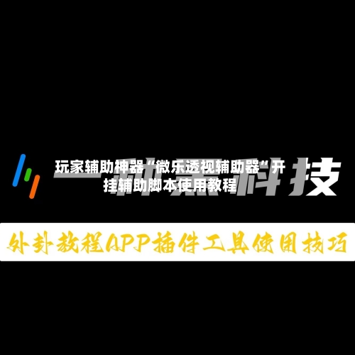 玩家辅助神器“微乐透视辅助器	”开挂辅助脚本使用教程-第1张图片