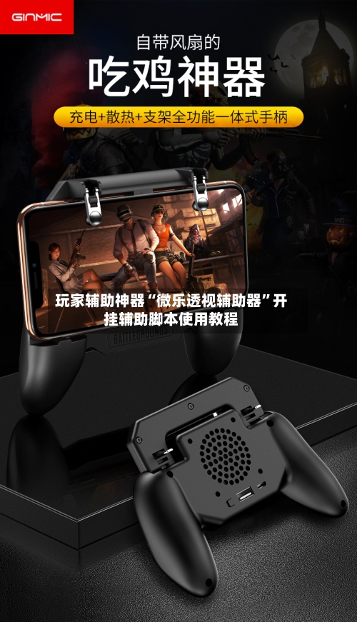 玩家辅助神器“微乐透视辅助器”开挂辅助脚本使用教程-第3张图片