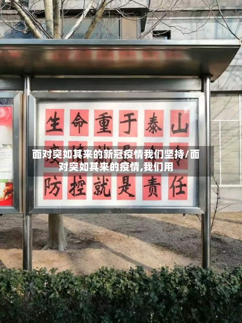 面对突如其来的新冠疫情我们坚持/面对突如其来的疫情,我们用-第1张图片
