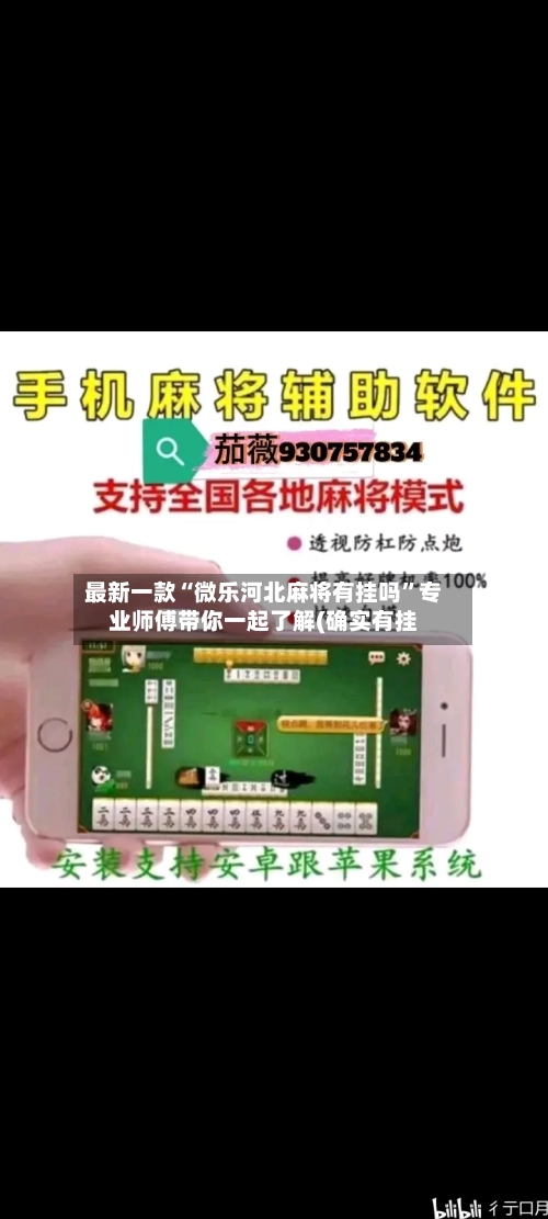 最新一款“微乐河北麻将有挂吗”专业师傅带你一起了解(确实有挂