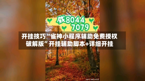 开挂技巧“雀神小程序辅助免费授权破解版	”开挂辅助脚本+详细开挂-第2张图片