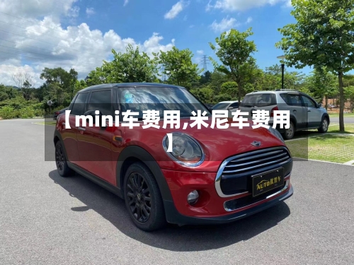 【mini车费用,米尼车费用】-第2张图片