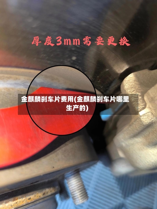 金麒麟刹车片费用(金麒麟刹车片哪里生产的)-第2张图片