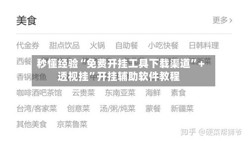 秒懂经验“免费开挂工具下载渠道”+透视挂”开挂辅助软件教程-第3张图片