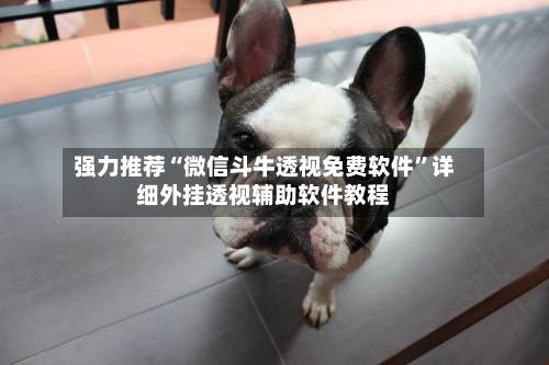强力推荐“微信斗牛透视免费软件”详细外挂透视辅助软件教程-第3张图片