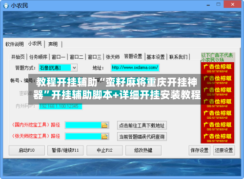 教程开挂辅助“蛮籽麻将重庆开挂神器”开挂辅助脚本+详细开挂安装教程-第3张图片