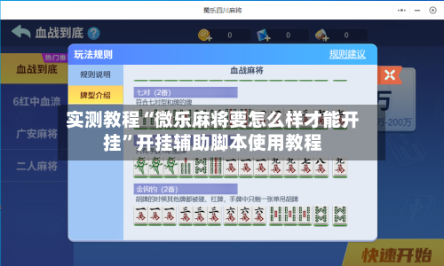 实测教程“微乐麻将要怎么样才能开挂”开挂辅助脚本使用教程-第3张图片