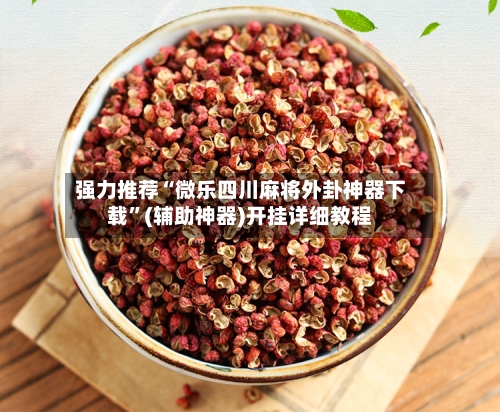 强力推荐“微乐四川麻将外卦神器下载”(辅助神器)开挂详细教程-第1张图片