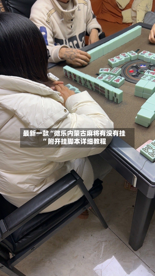 最新一款“微乐内蒙古麻将有没有挂	”附开挂脚本详细教程-第2张图片